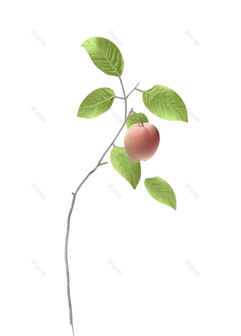 芒种图片,水果元素,树叶PNG,免抠素材